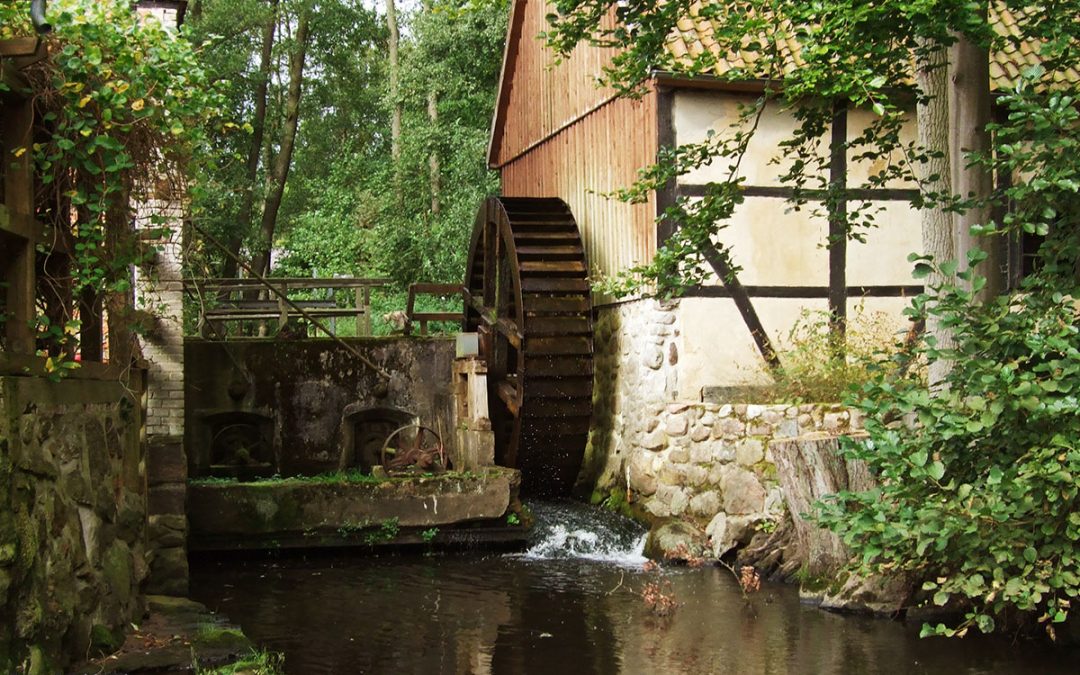 #4 — Kluge Dumme: Unterwegs im Wendland