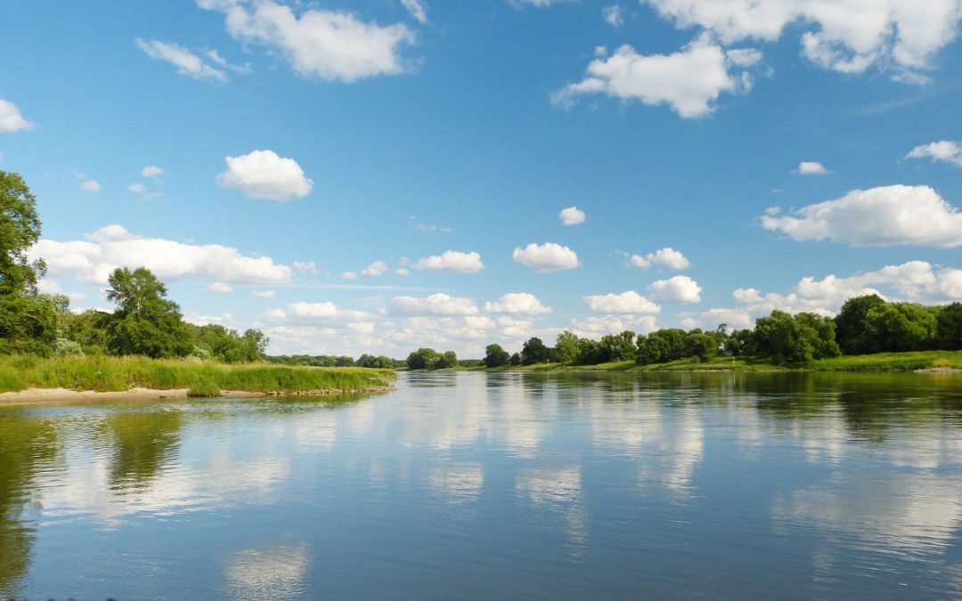 #6 — Biosphärenreservat Mittelelbe: Auf dem Auenpfad Natur entdecken