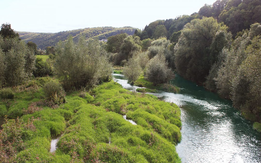 #8 — Die Ruhr in Arns­berg: Stadt, Land, leben­di­ger Fluss